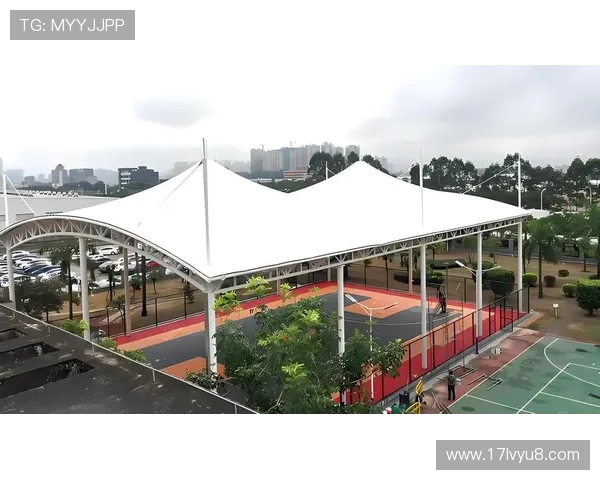 陈江华：从篮球场到商业新篇章的多元转型之路