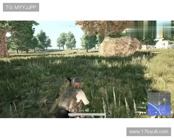 Danawa电子竞技绝地求生团队全面分析与战术探讨