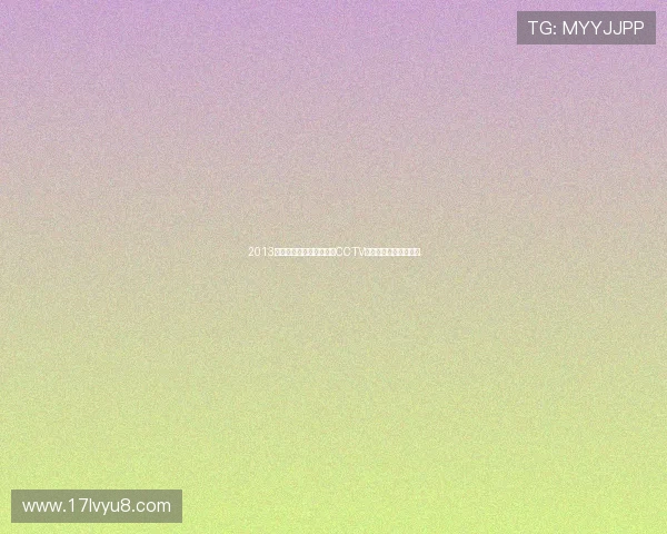 2013年湖人对战猛龙精彩回顾CCTV直播全程重温经典瞬间